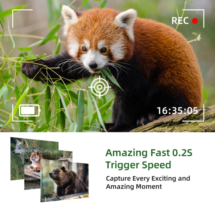 WiFi801Pro 4K Outdoor Tracking Hunting Camera APP Remote Phone Control To View Photos / Video At Any Time - Hunting Cameras by buy2fix | Online Shopping UK | buy2fix