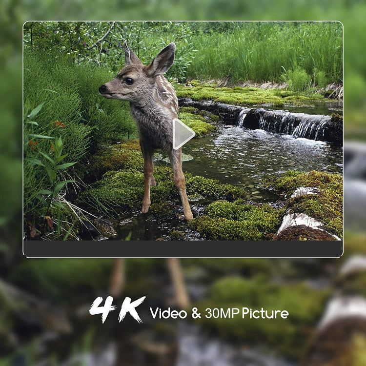 WiFi801Pro 4K Outdoor Tracking Hunting Camera APP Remote Phone Control To View Photos / Video At Any Time - Hunting Cameras by buy2fix | Online Shopping UK | buy2fix