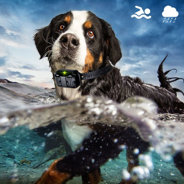 800m Remote Control Stop Barker Dog Trainer Smart Anti-Disturbance Vibration Collar, Specification: With 3 Collars - Training Aids by buy2fix | Online Shopping UK | buy2fix