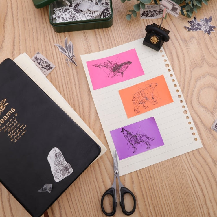 For Phomemo M02 / M02S / M02Pro 3rolls /Pack 53mm Self-Adhesive Black Letter Printer Thermal Labels On Purple / Rose Red / Orange Bottom by Phomemo