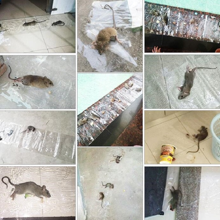 Anti-rodent Strong Sticky Board Transparent Sticky Mouse with Mousetrap Glue by buy2fix