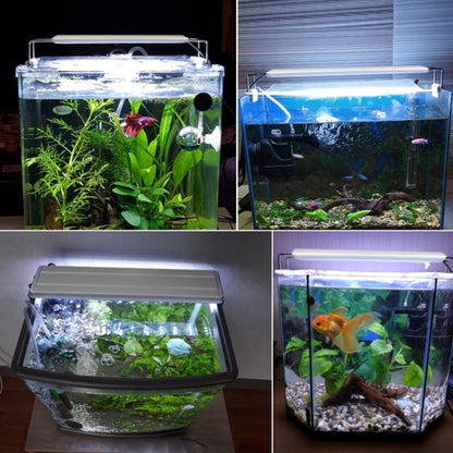 XY-60K Three Rows Aquarium Glass Fish Tank LED Aquatic Bracket Lamp, US Plug(White Blue) - Fish Tanks & Accessories by buy2fix | Online Shopping UK | buy2fix