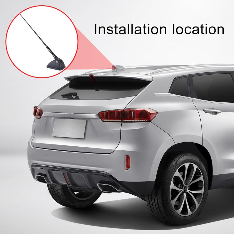 CAR2435_5.jpg@f0625328d76f64c7035ba757dd7bd343