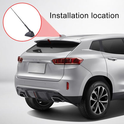 CAR2435_5.jpg@f0625328d76f64c7035ba757dd7bd343