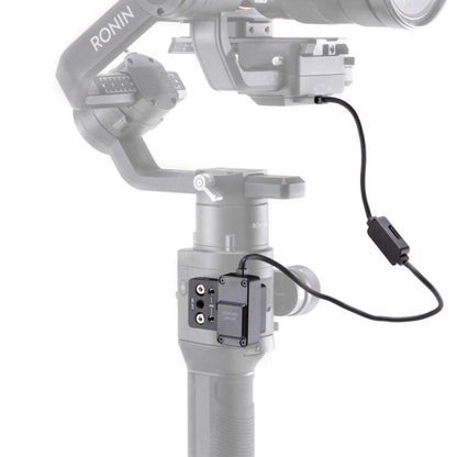 DCA0434_4.jpg@9b3824878e03f9f70dfb017b7a81fbf4