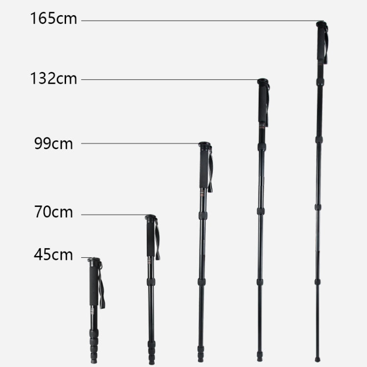 BEXIN MAS325 Portable Travel Outdoor DSLR Camera Aluminum Alloy Monopod Holder(Black) - Monopods by BEXIN | Online Shopping UK | buy2fix