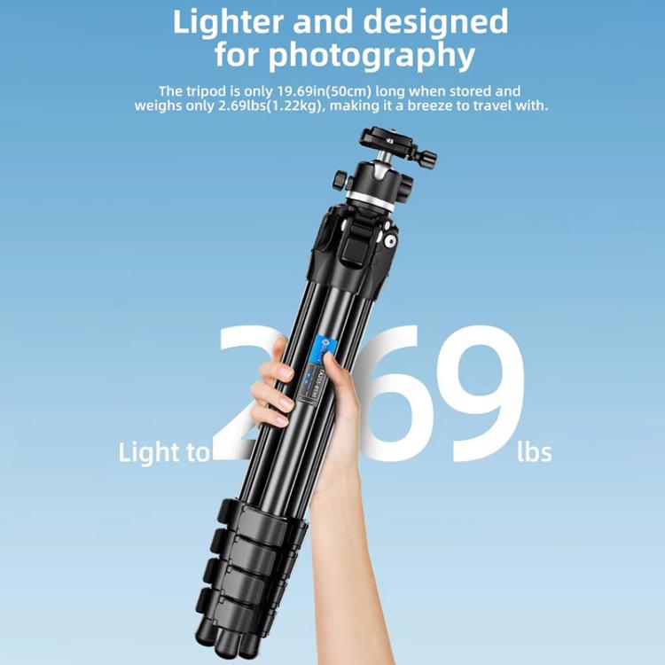 BEXIN TA254-BS30 Portable Collapsible Aluminum Alloy Camera Tripod with Head (Black) - Tripods by BEXIN | Online Shopping UK | buy2fix