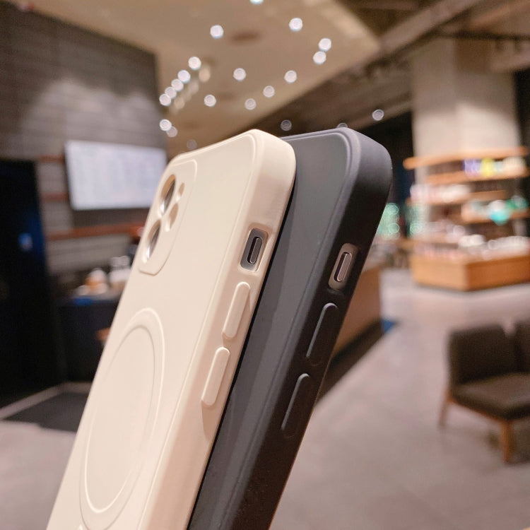 For iPhone 12 Liquid Silicone Full Coverage Shockproof Magsafe Case(Pink) by buy2fix