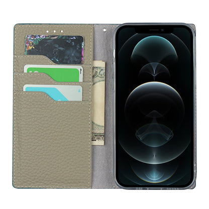 For iPhone 12 Pro Max Litchi Genuine Leather Phone Case(Sky Blue) - iPhone 12 Pro Max Cases by buy2fix | Online Shopping UK | buy2fix