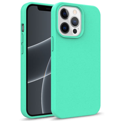 For iPhone 13 mini Starry Series Shockproof Straw Material + TPU Protective Case (Green) by buy2fix