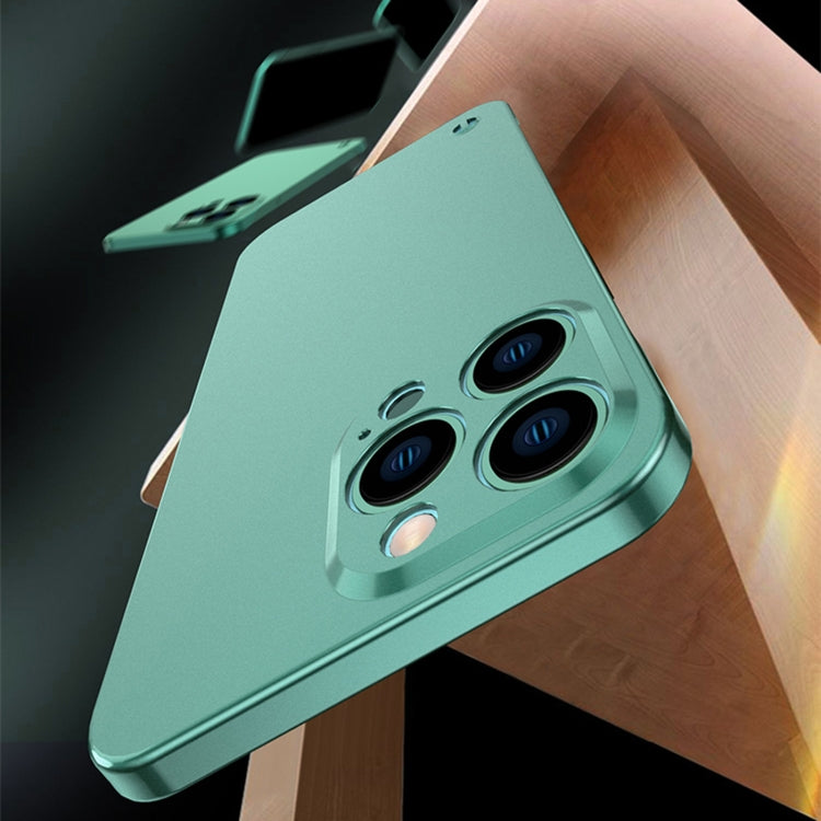 For iPhone 12 Pro Electroplating Frosted Frameless Phone Case(Green) by buy2fix