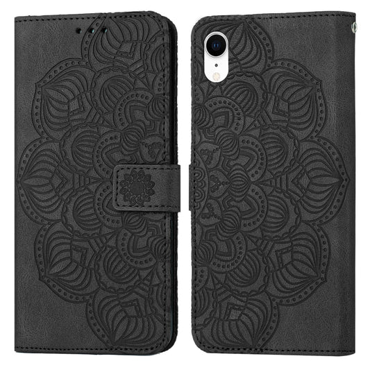 EDA003105912A.jpg@f64a44a96c475fe4dc88d0020577a0ff