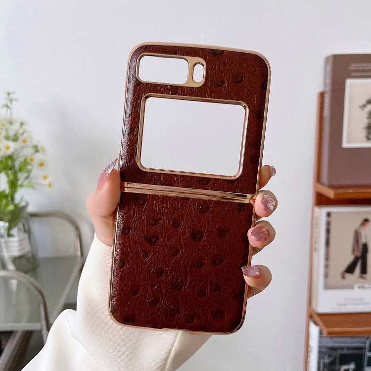 For Motorola Moto Razr 2022 Genuine Leather Ostrich Texture Nano Plating Phone Case(Coffee) by buy2fix