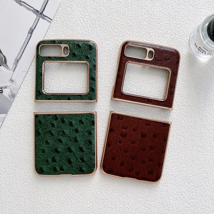 For Motorola Moto Razr 2022 Genuine Leather Ostrich Texture Nano Plating Phone Case(Coffee) by buy2fix