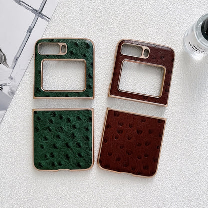 For Motorola Moto Razr 2022 Genuine Leather Ostrich Texture Nano Plating Phone Case(Coffee) by buy2fix