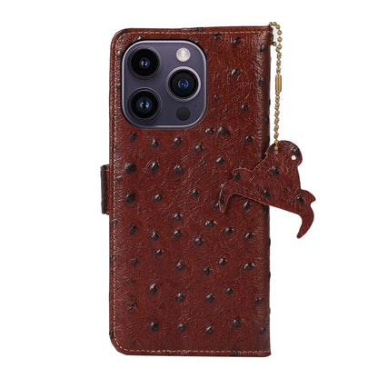 For iPhone 15 Pro Ostrich Pattern Genuine Leather RFID Phone Case(Coffee) - iPhone 15 Pro Cases by buy2fix | Online Shopping UK | buy2fix