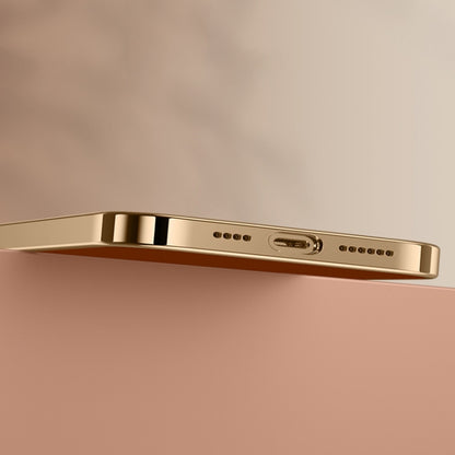 For iPhone 12 Litchi Texture Genuine Leather Phone Case(Purple) - iPhone 12 / 12 Pro Cases by buy2fix | Online Shopping UK | buy2fix