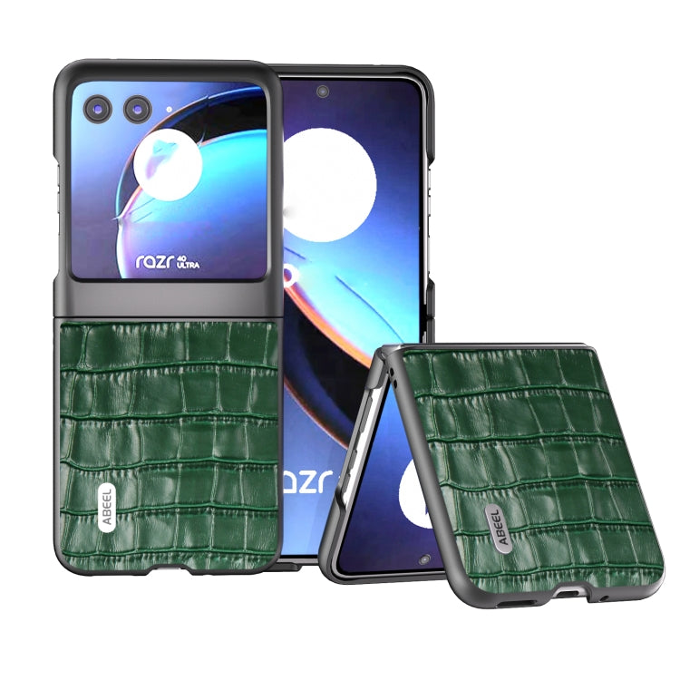 For Motorola Razr 40 Ultra ABEEL Crocodile Texture Genuine Leather Phone Case(Green) - Motorola Cases by buy2fix | Online Shopping UK | buy2fix