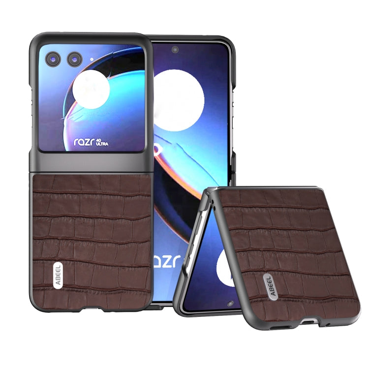 For Motorola Razr 40 Ultra ABEEL Crocodile Texture Genuine Leather Phone Case(Brown) - Motorola Cases by buy2fix | Online Shopping UK | buy2fix