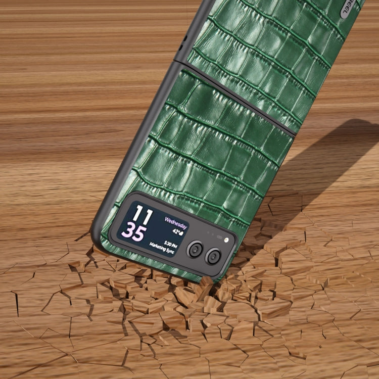 For Motorola Razr 40 ABEEL Crocodile Texture Genuine Leather Phone Case(Green) - Motorola Cases by buy2fix | Online Shopping UK | buy2fix