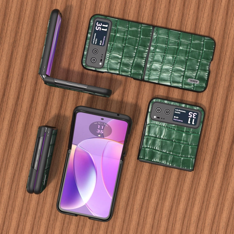 For Motorola Razr 40 ABEEL Crocodile Texture Genuine Leather Phone Case(Green) - Motorola Cases by buy2fix | Online Shopping UK | buy2fix