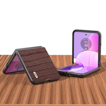For Motorola Razr 40 ABEEL Crocodile Texture Genuine Leather Phone Case(Brown) - Motorola Cases by buy2fix | Online Shopping UK | buy2fix