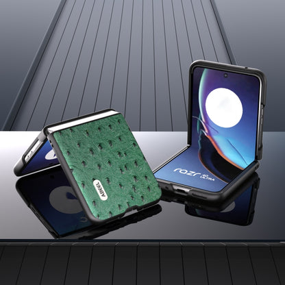 For Motorola Razr 40 Ultra ABEEL Genuine Leather Ostrich Texture Phone Case(Green) by buy2fix