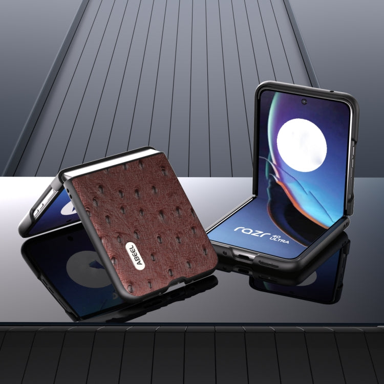 For Motorola Razr 40 Ultra ABEEL Genuine Leather Ostrich Texture Phone Case(Coffee) by buy2fix