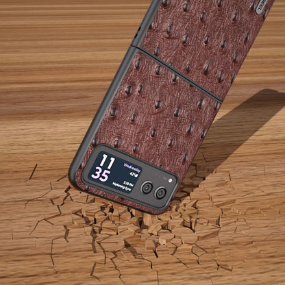 For Motorola Razr 40 ABEEL Genuine Leather Ostrich Texture Phone Case(Coffee) by buy2fix