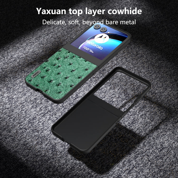 For Motorola Razr 50 ABEEL Genuine Leather Ostrich Texture Phone Case(Green) by buy2fix