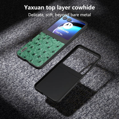 For Motorola Razr 50 ABEEL Genuine Leather Ostrich Texture Phone Case(Green) by buy2fix