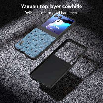 For Motorola Razr 50 ABEEL Genuine Leather Ostrich Texture Phone Case(Blue) by buy2fix