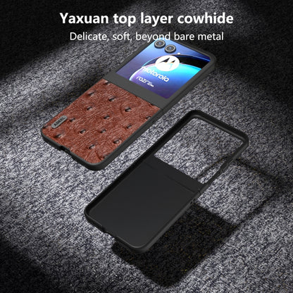 For Motorola Razr 50 ABEEL Genuine Leather Ostrich Texture Phone Case(Coffee) by buy2fix