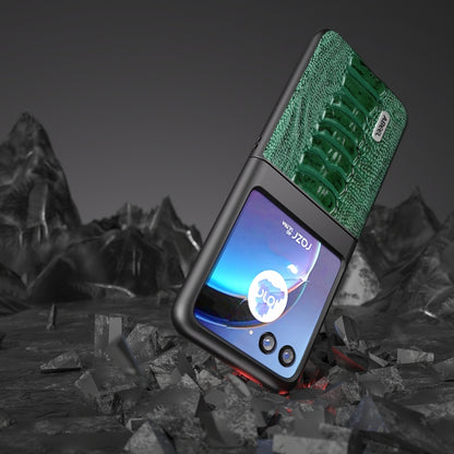 For Motorola Razr 40 Ultra ABEEL Genuine Leather Weilai Series Phone Case(Green) by buy2fix