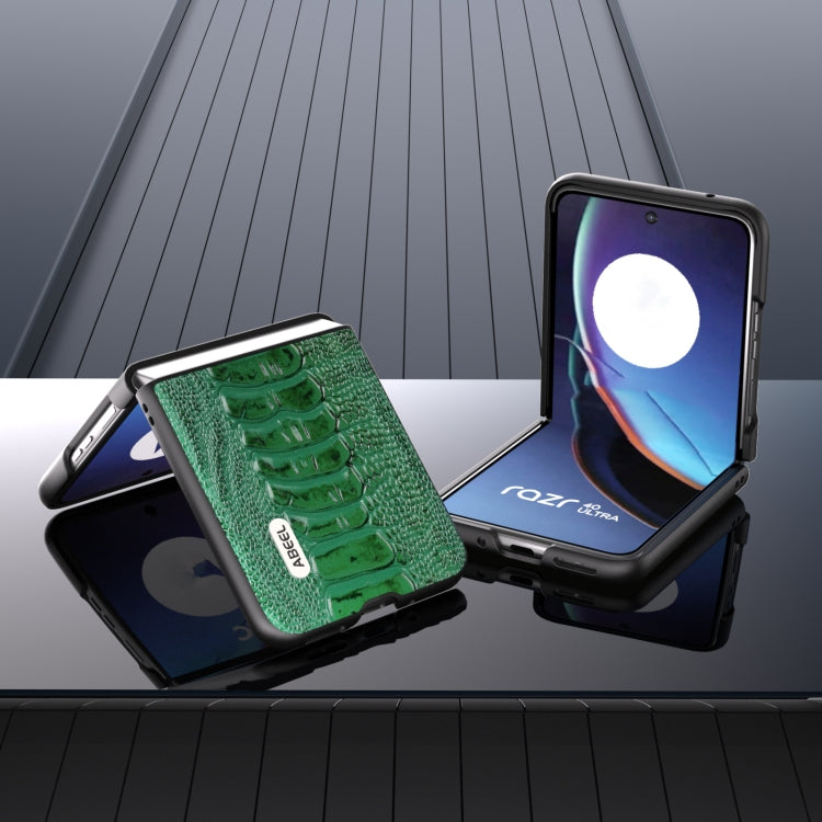 For Motorola Razr 40 Ultra ABEEL Genuine Leather Weilai Series Phone Case(Green) by buy2fix