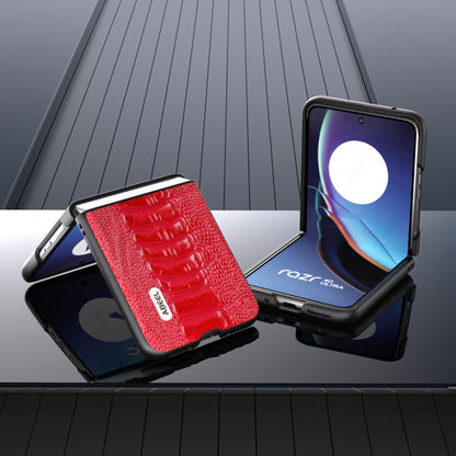 For Motorola Razr 40 Ultra ABEEL Genuine Leather Weilai Series Phone Case(Red) by buy2fix