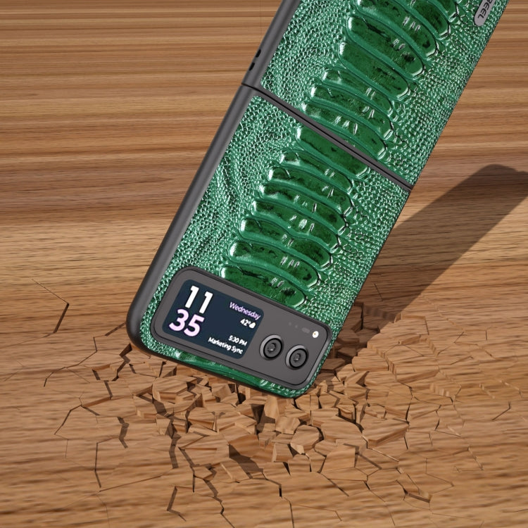 For Motorola Razr 40 ABEEL Genuine Leather Weilai Series Phone Case(Green) by buy2fix