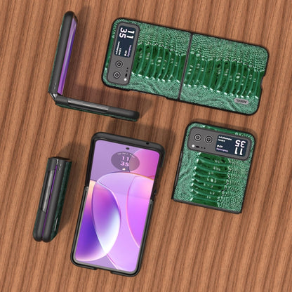 For Motorola Razr 40 ABEEL Genuine Leather Weilai Series Phone Case(Green) by buy2fix