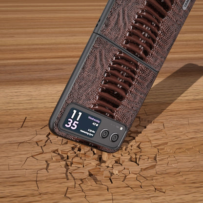 For Motorola Razr 40 ABEEL Genuine Leather Weilai Series Phone Case(Coffee) by buy2fix