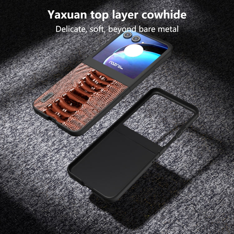 For Motorola Razr 50 ABEEL Genuine Leather Weilai Series Phone Case(Coffee) by buy2fix
