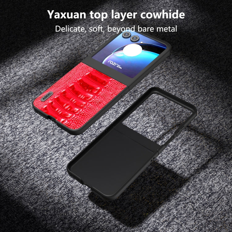 For Motorola Razr 50 ABEEL Genuine Leather Weilai Series Phone Case(Red) by buy2fix