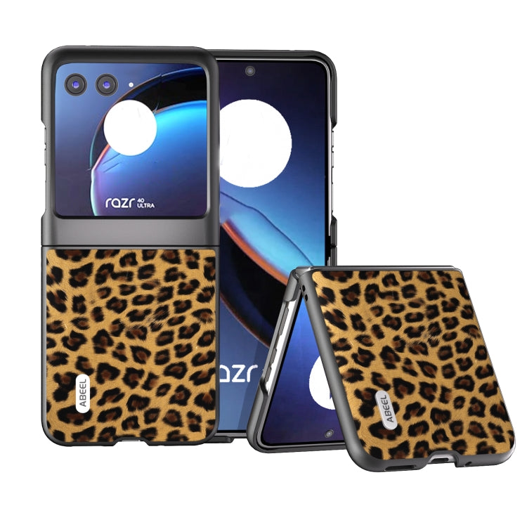 For Motorola Razr 40 Ultra ABEEL Black Edge Leopard Phone Case(Golden Leopard) by buy2fix