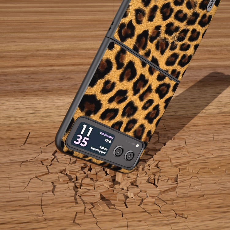 For Motorola Razr 40 ABEEL Black Edge Leopard Phone Case(Golden Leopard) by buy2fix