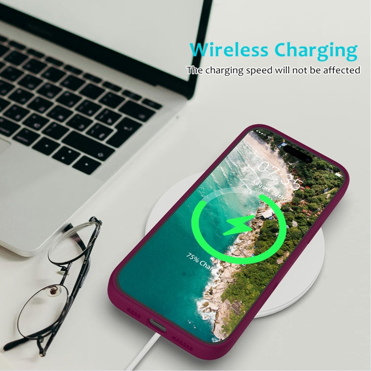 For iPhone 16 Pro Max Solid Color Silicone Phone Case(Violet) by buy2fix