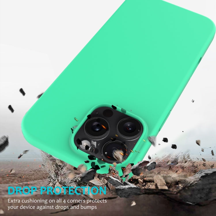 For iPhone 16 Pro Solid Color Silicone Phone Case(Green) by buy2fix