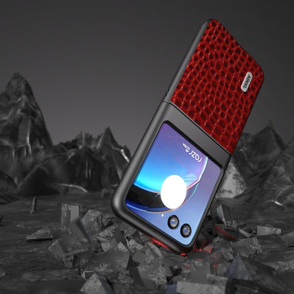 For Motorola Razr 40 Ultra ABEEL Genuine Leather Crocodile Pattern Black Edge Phone Case(Red) by buy2fix