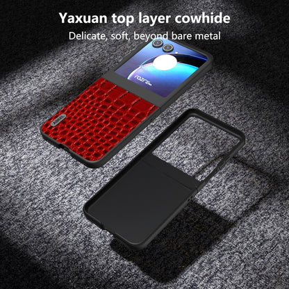 For Motorola Razr 50 ABEEL Genuine Leather Crocodile Pattern Black Edge Phone Case(Red) by buy2fix