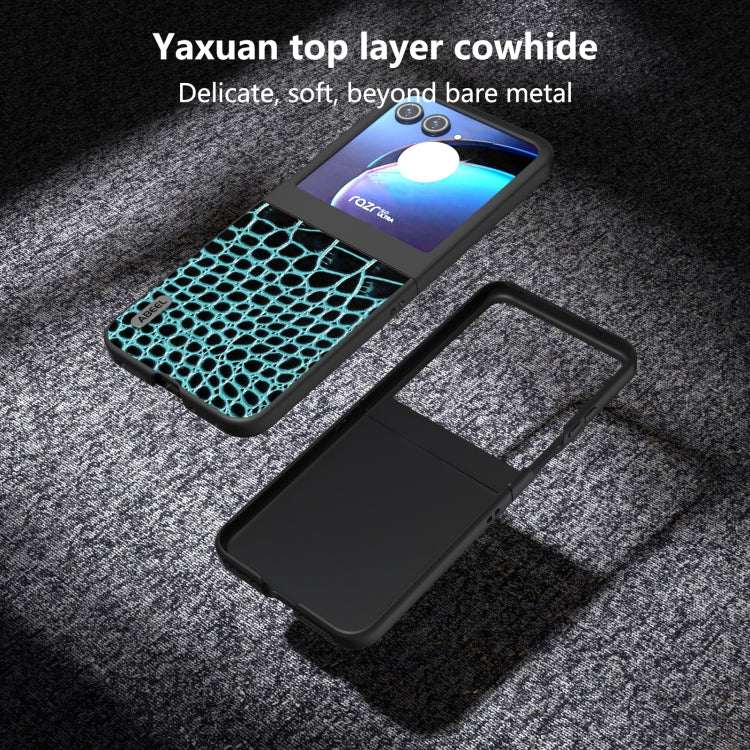 For Motorola Razr 50 ABEEL Genuine Leather Crocodile Pattern Black Edge Phone Case(Blue) by buy2fix