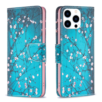 For iPhone 16 Pro Max Colored Drawing Pattern Leather Phone Case(Plum Blossom) by buy2fix