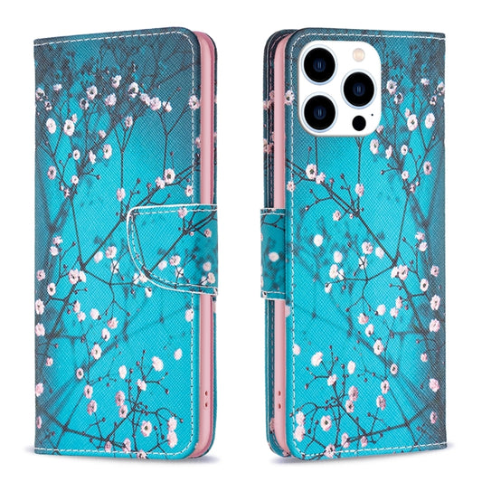 For iPhone 16 Pro Max Colored Drawing Pattern Leather Phone Case(Plum Blossom) by buy2fix